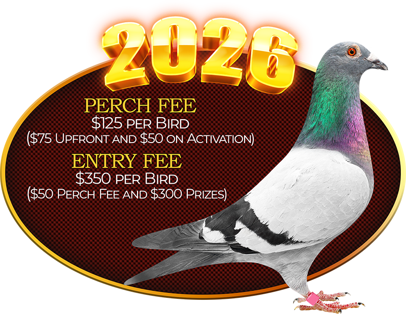2026